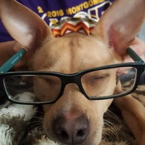 Meet your Posher, Brigitte